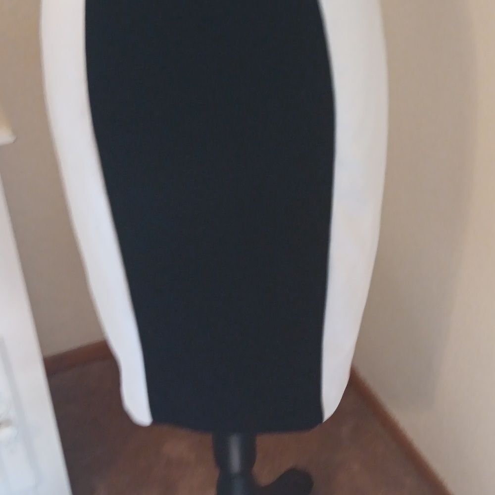 Alexia Admor Colorblock Dress - Picture 5 of 15